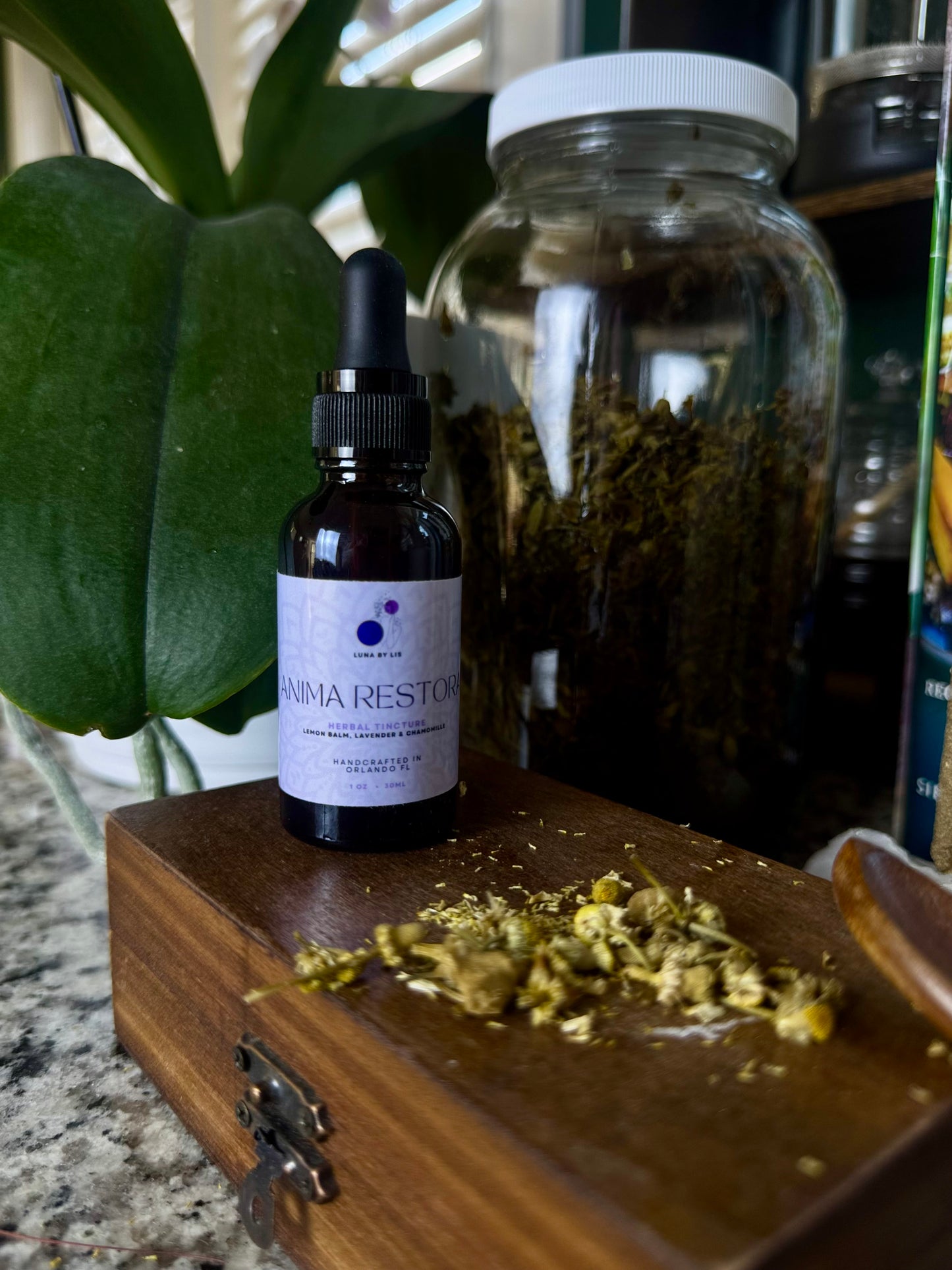 Anima Restora - Tincture