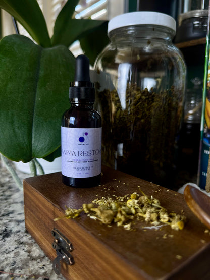 Anima Restora - Tincture
